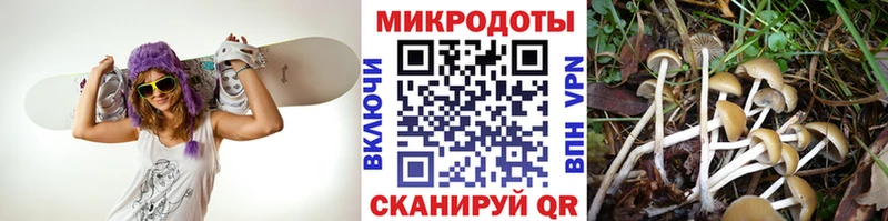 Галлюциногенные грибы MAGIC MUSHROOMS  Пушкино 